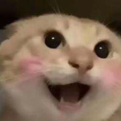 哈基米